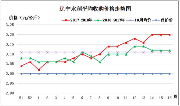 水稻.jpg