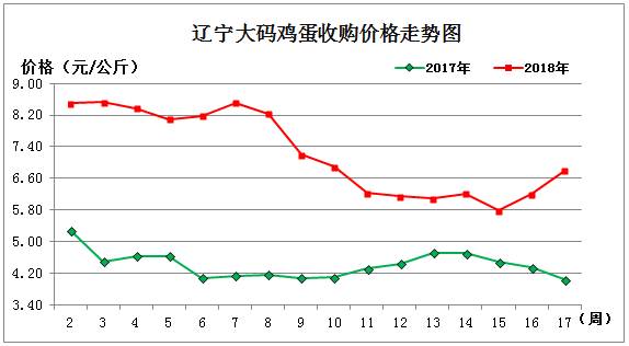 鸡蛋.jpg