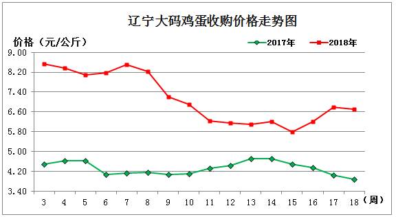 鸡蛋.jpg