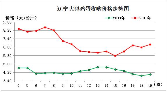 鸡蛋.jpg