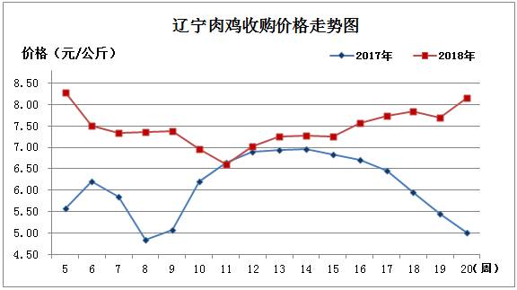 肉鸡1.jpg