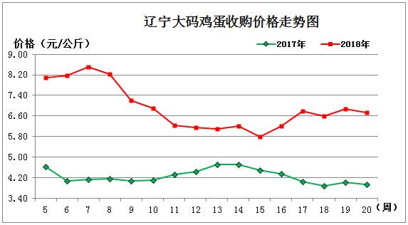 鸡蛋1.jpg