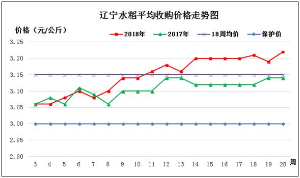 水稻2.jpg