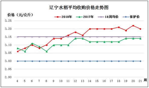 水稻2.jpg