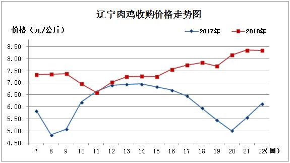 肉鸡1.jpg