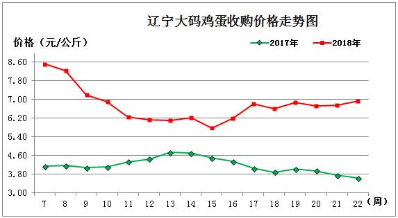鸡蛋1.jpg