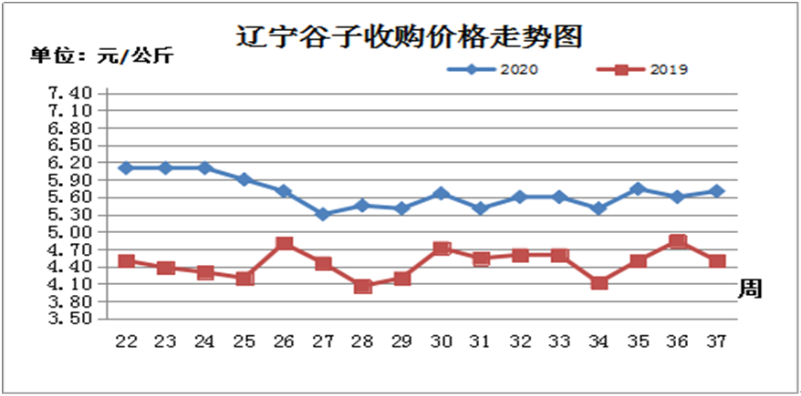杂2.png
