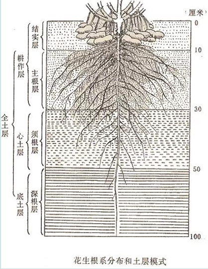 信息速递插图1.png