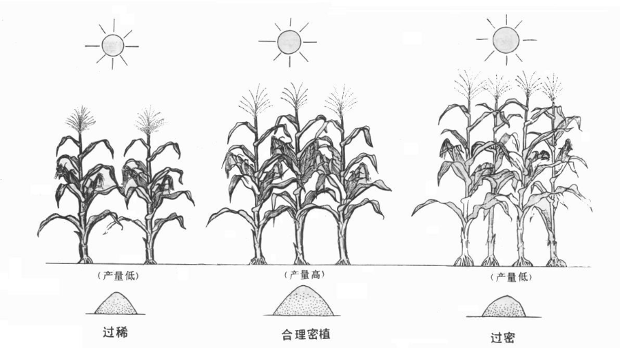 信息速递插图.png