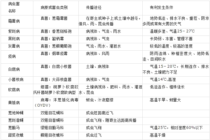 大葱插图1.png